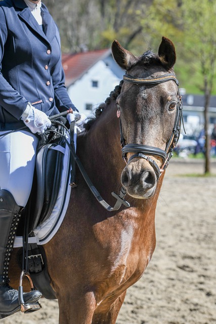 壘壓迫對手 壘壓迫對手