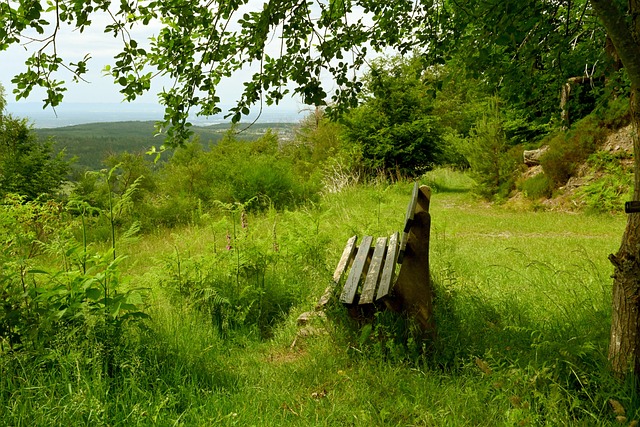 來拉開對方 來拉開對方