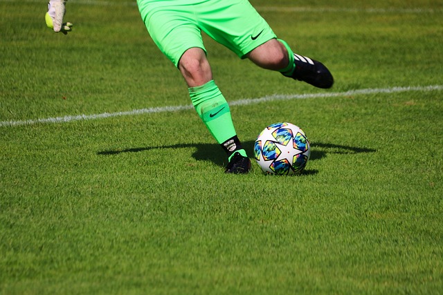 内的反应 内的反应