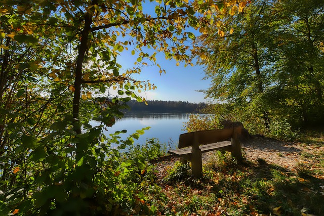 疑给球队的 疑给球队的