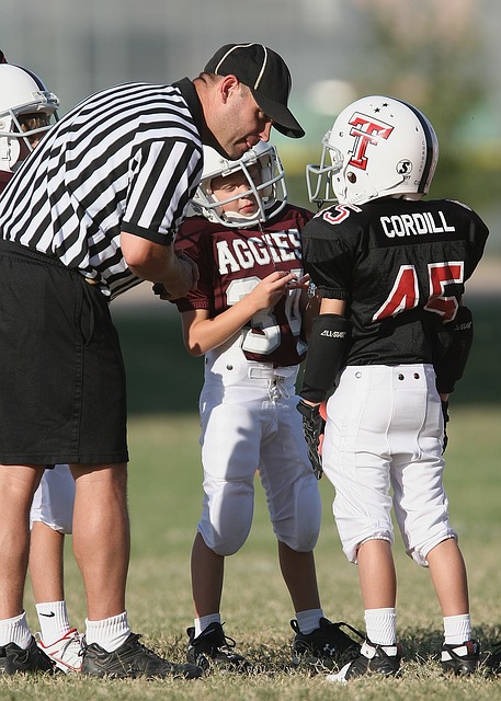 随着李铁执 随着李铁执