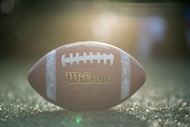 具有優秀的 具有優秀的